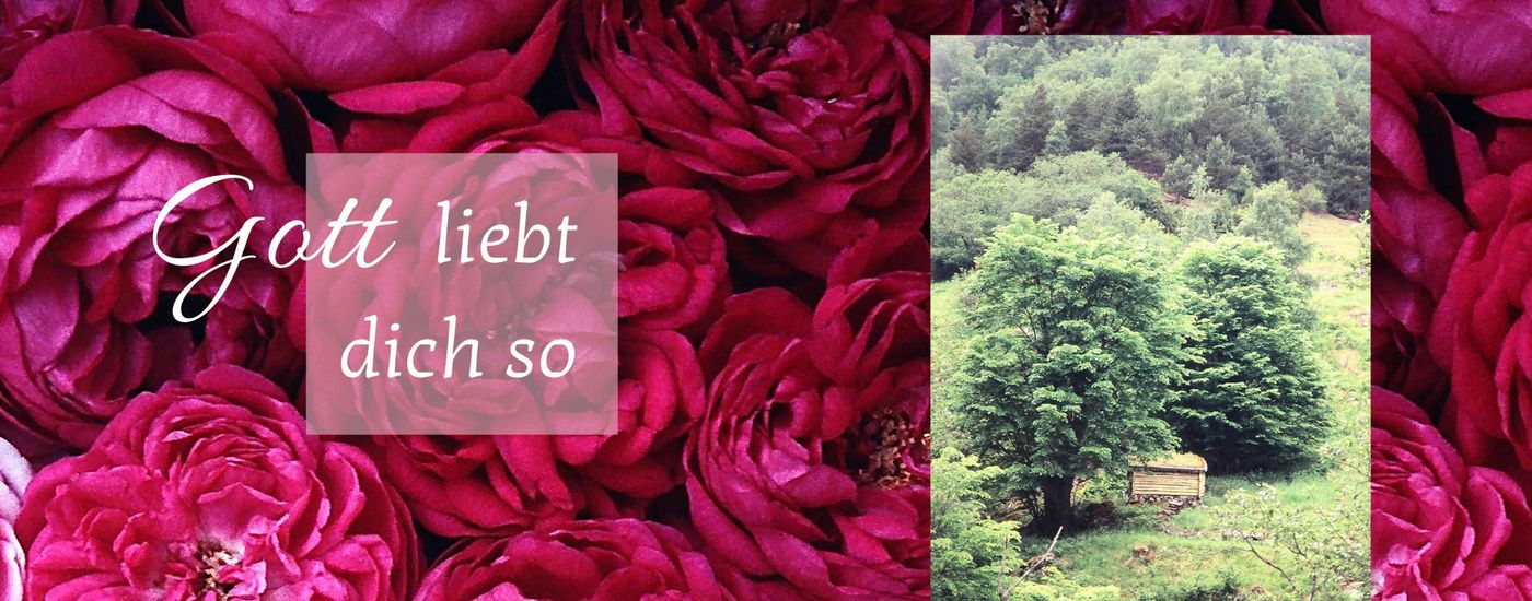 Rosen im Hintergrund, einen kleinen Bild eines Garntens und eine Aufschrfit mit Gott liebt dich so